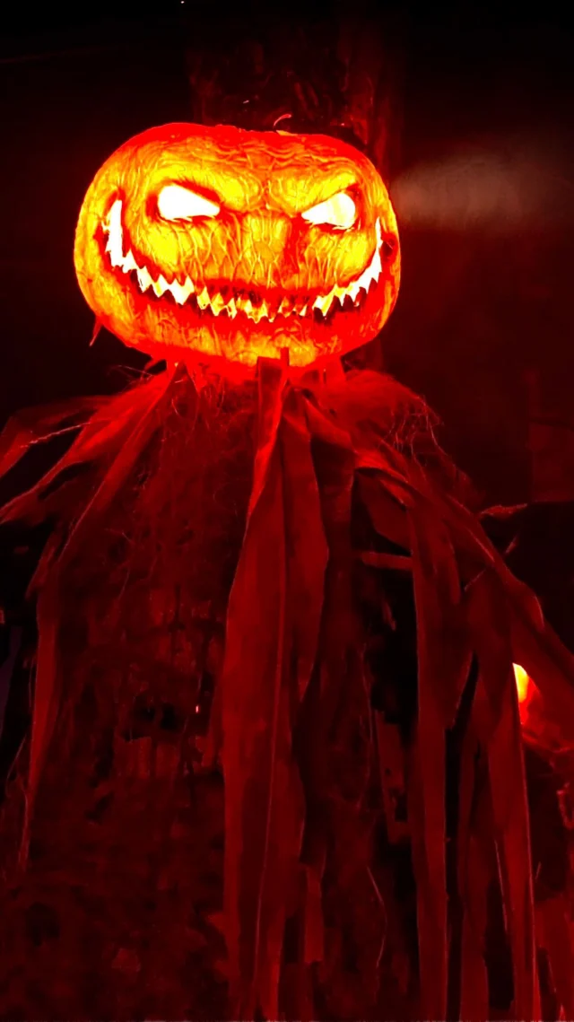 ¡HAPPY #HALLOWEEN! 🎃👻
Celebramos la noche más especial del año con la novedad #HELLorWIN, donde te adentrarás en el origen de esta festividad ayudando al Diablo a vengarse de Stingy Jack.
¿Cómo la celebraréis vosotros? 👀
.
#Horrorland #screampark #show #night #costume #disfraz #calabaza #Barcelona